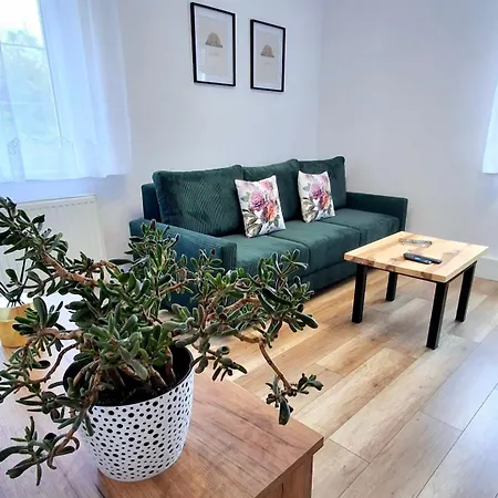 Apartment Dzika Roza *