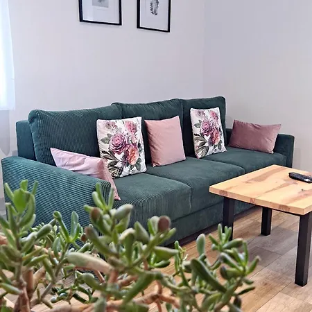Apartment Dzika Roza