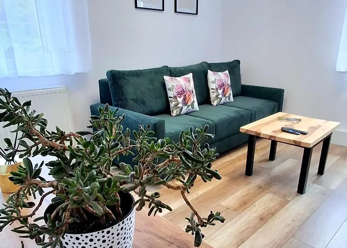 Appartement Dzika Roza *