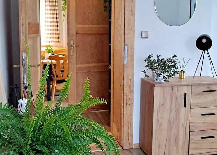 Dzika Roza コバリ